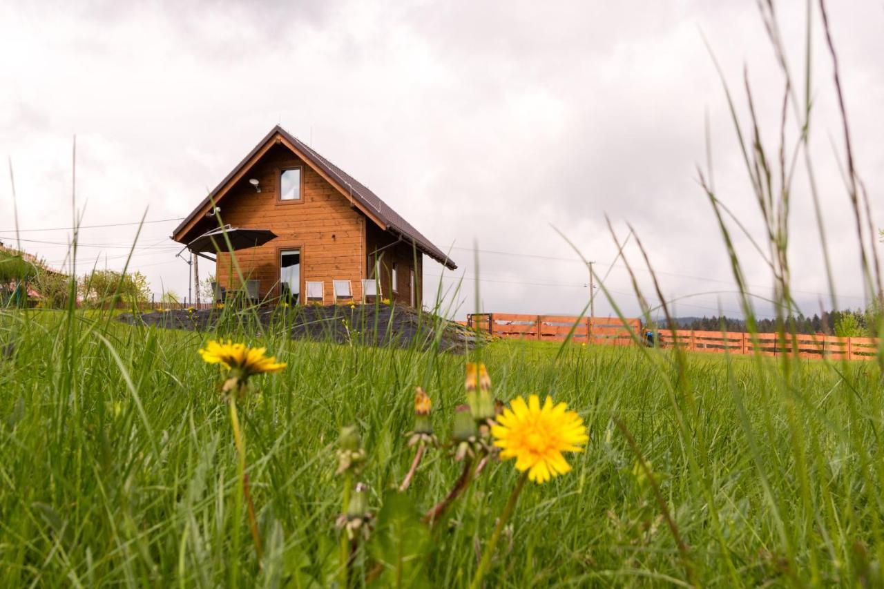 U Jana I Wita Villa Istebna Exterior photo